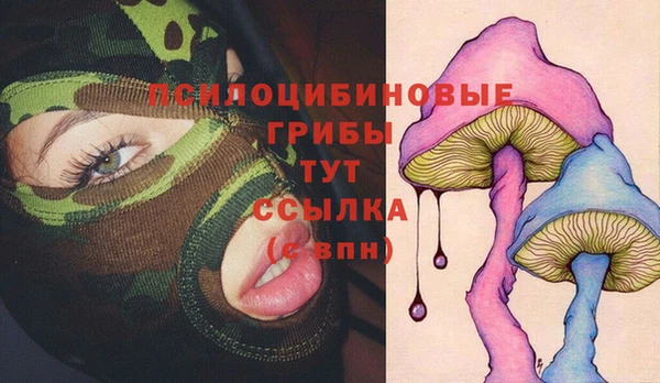 гидра Лабытнанги
