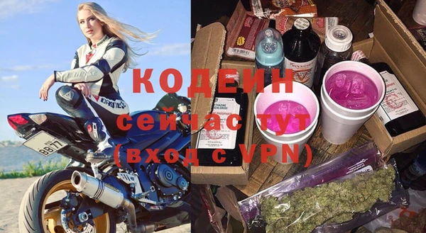 ГАЛЛЮЦИНОГЕННЫЕ ГРИБЫ Ладушкин