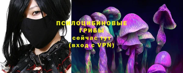 ГАЛЛЮЦИНОГЕННЫЕ ГРИБЫ Ладушкин