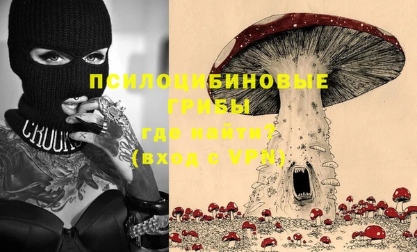 гидра Лабытнанги