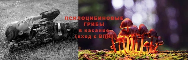 ГАЛЛЮЦИНОГЕННЫЕ ГРИБЫ Ладушкин