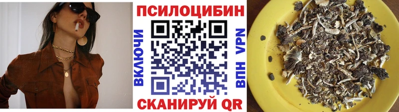 Купить закладки  Анадырь  Псилоцибиновые грибы ЛСД 